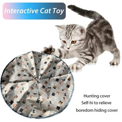 Hunting Cover Cat Toys Hide And Seek Kitten Toy Interactive Motion Activated Cat Exercise Toy for Indoor Cats/Kitty