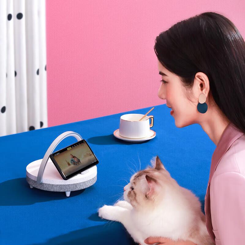 Jiguang LYYD06 10W Wireless Charging Music Desk Lamp