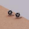 925 Sterling Copper Black North Star Fashion Temperament Trendy and Cool Earrings Suitable for Men and Women To Wear Zircon
