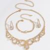 New Bridal Wedding Rhinestone Necklace Earrings Set Sexy Gala Party Necklace Necklace