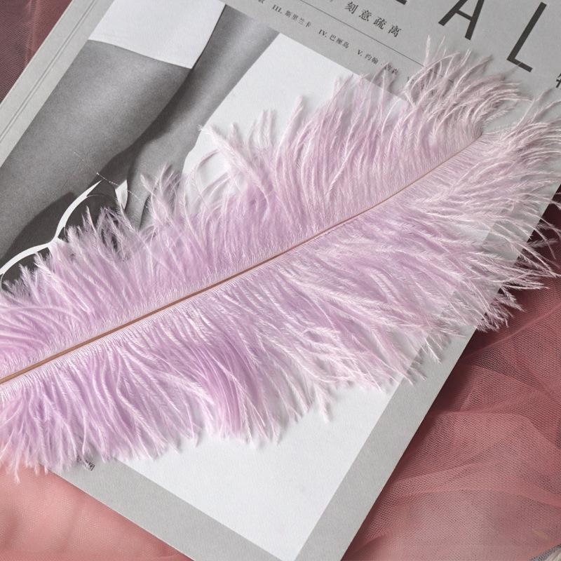 22-Color Ostrich Fur Big Feathers Wedding Background Wall Decorative Wall White Pink Feather Flower Arrangement 20-25Cm
