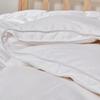 Jin Si Li Crown Plaza White Goose Down Quilt