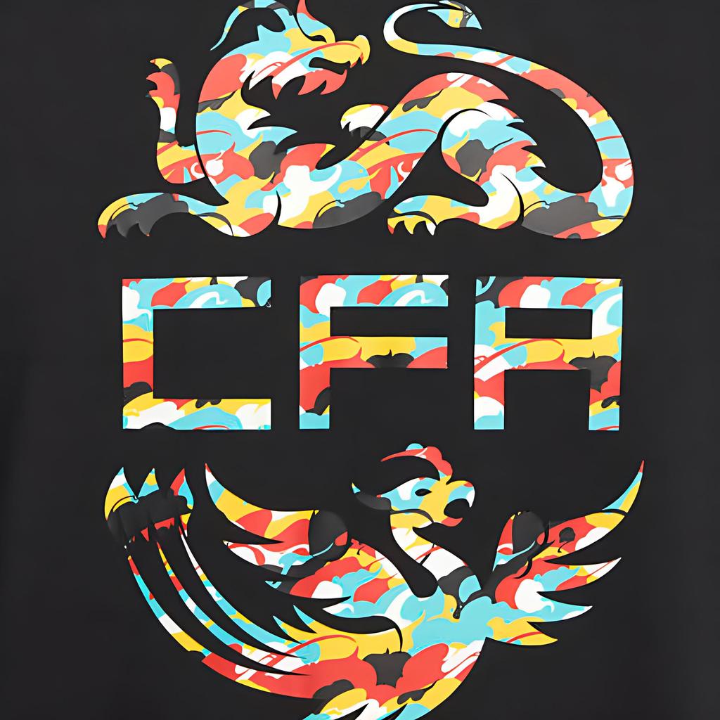 Nike Dragon And Phoenix Pattern Print Crew Neck Long Sleeve T-Shirt Men Tops Black DJ1918-010