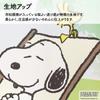 Noren Kobo Snoopy Tapestry Green 85cm Wide X 150cm Hammock 11484 Noren, Poster, Leaf, Long, Green, PEANUTS, Woodstock, Leaf,