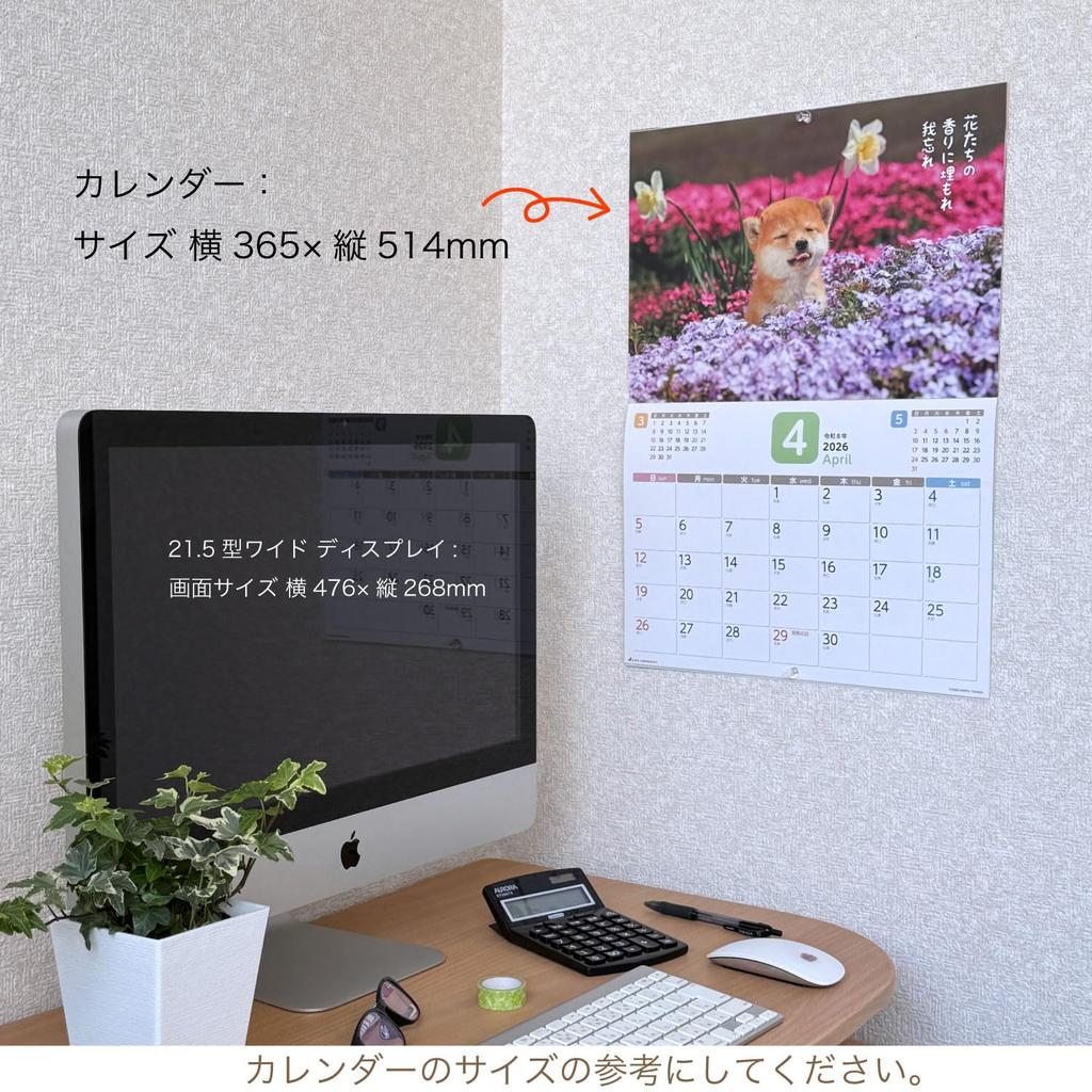Active Corporation 2026 Wall Calendar Starts January 2026 (Because it's Shiba) 26ACL-64