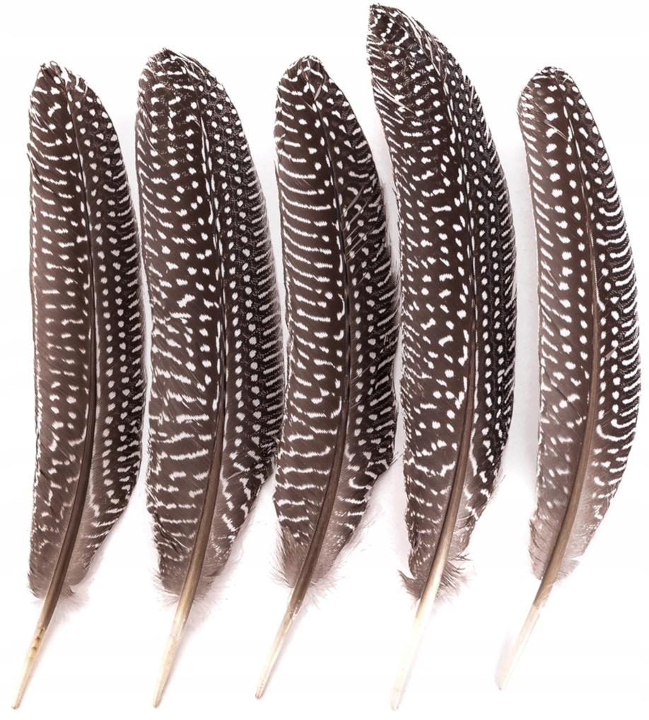 Pheasant Feather Quills Brown Easter 20Cm 5Pcs.