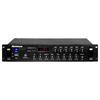 Newmine L-1100 1200W Professional PA Amplifier (CN Version)