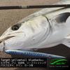 Jack Fin STYLO 210 Yellow Fluo Floating Lure Ideal for targeting bluefin tuna and other similar (Handmade) - fish.