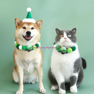 Gatos – Colares e correias para gatos