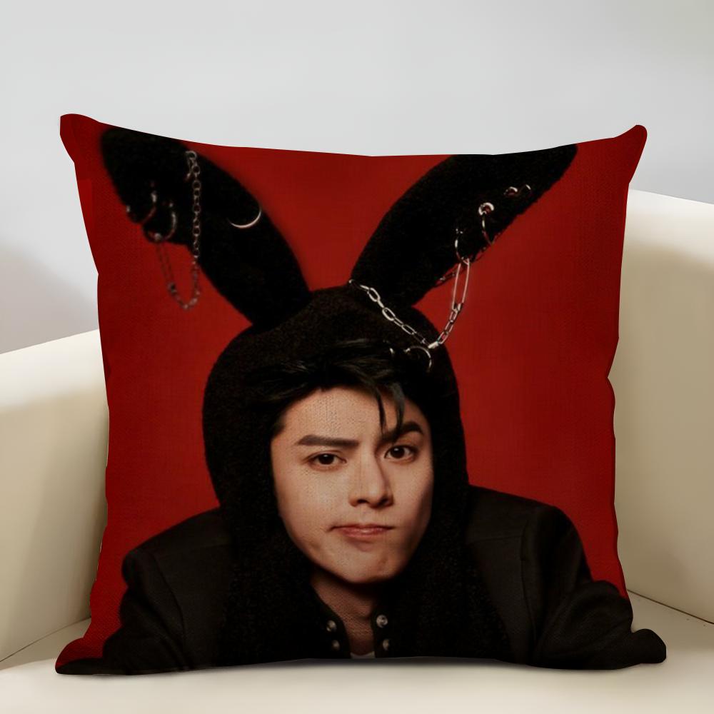 Dylan Wang Chinese Actor Cushion Household Decoration Linen Sofa Cushion Cover: Skin-Friendly & Breathable with Invisible Zipper