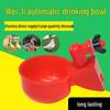 Automatic Drinking Bowl for Baby Chicks, Ducks, Geese, and Quails