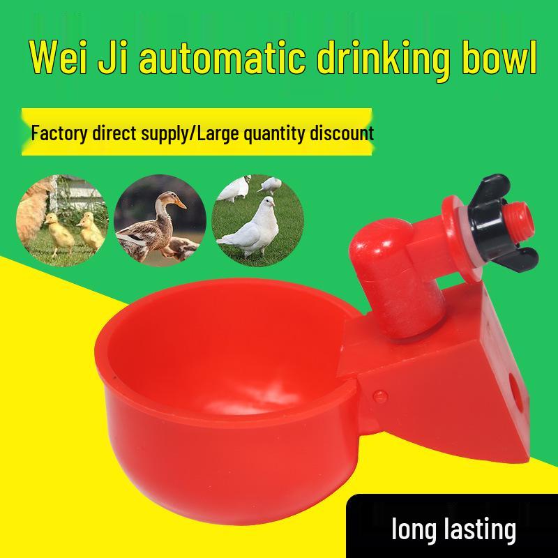Automatic Drinking Bowl for Baby Chicks, Ducks, Geese, and Quails