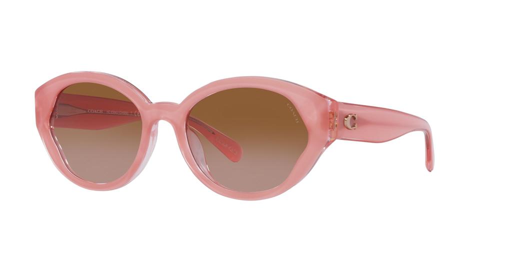 Coach Sunglasses HC8364U CH569 Milky Pink Gradient Lens 55 Pink/Transparent Frame/Brown