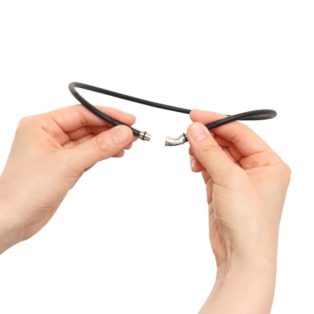 Colantotte Crest R EX Silver Necklace