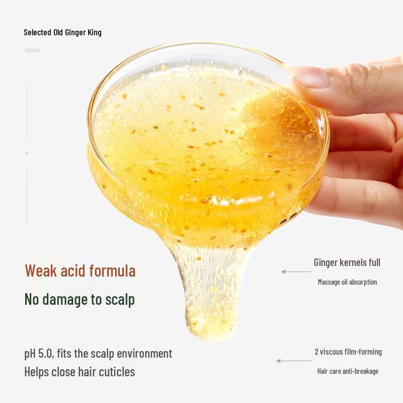 QINYE GH101 Ginger Strong Root Nourishing Shampoo