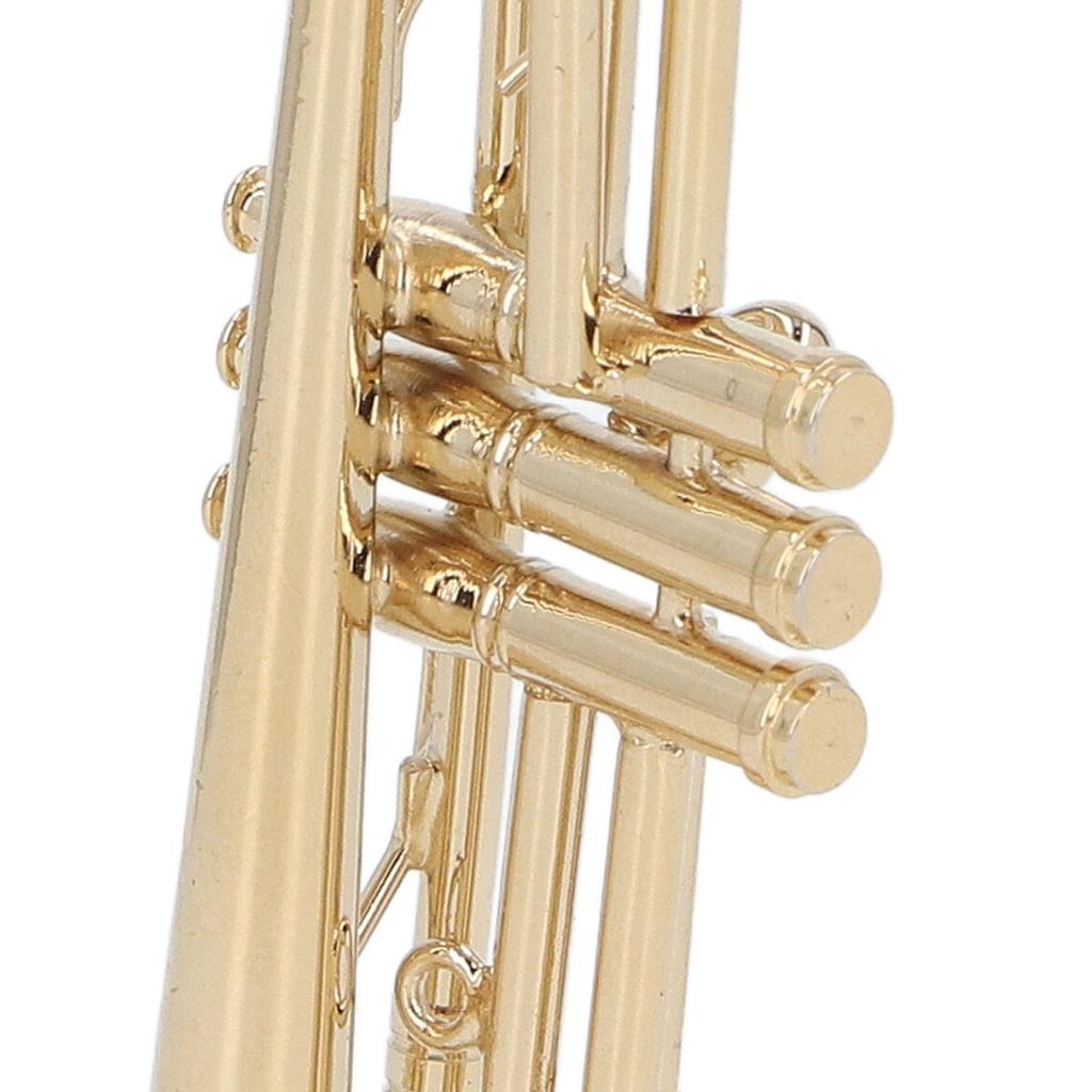 Ature Trompete Messing Exquisites Design Romantisch Trompetenmodell mit Ständer Koffer für Schreibtisch Bücherregal