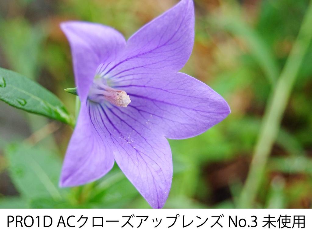 Kenko 55S PRO1D AC NO3 055236 Close-up