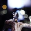 Adjustable Open Ring Men Women Geometric Bone Motif Vintage Style Plated Statement Jewelry