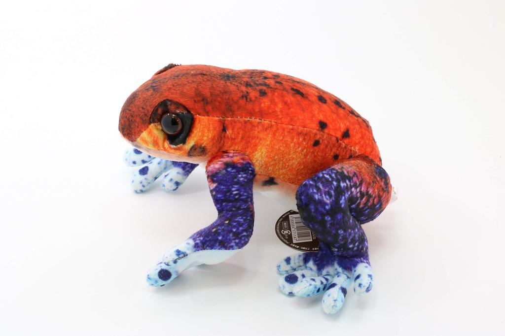 Taiyo Sangyo Boeki Wild Graphy Plush Strawberry Poison Dart Frog (S) SA018