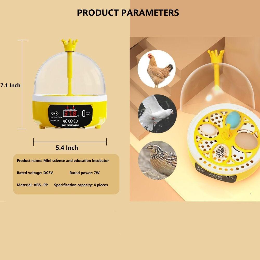 Temperature Humidity Control Mini Egg Incubator  Chicken Duck Pigeon Quail Bird