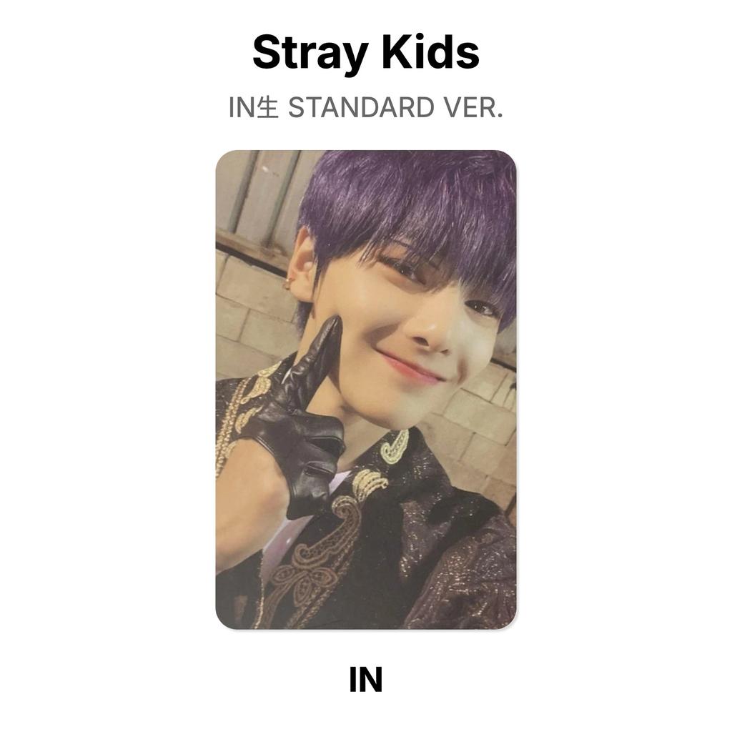 Stray Kids IN STANDARDVERSION. Offizielle Fotokarte
