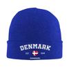 Denmark Est 1849 Knitted Hat Beanie Hats Outdoor Thermal Elastic Unisex Adult Bonnet Hats Autumn Winter Printed Hip Hop Caps