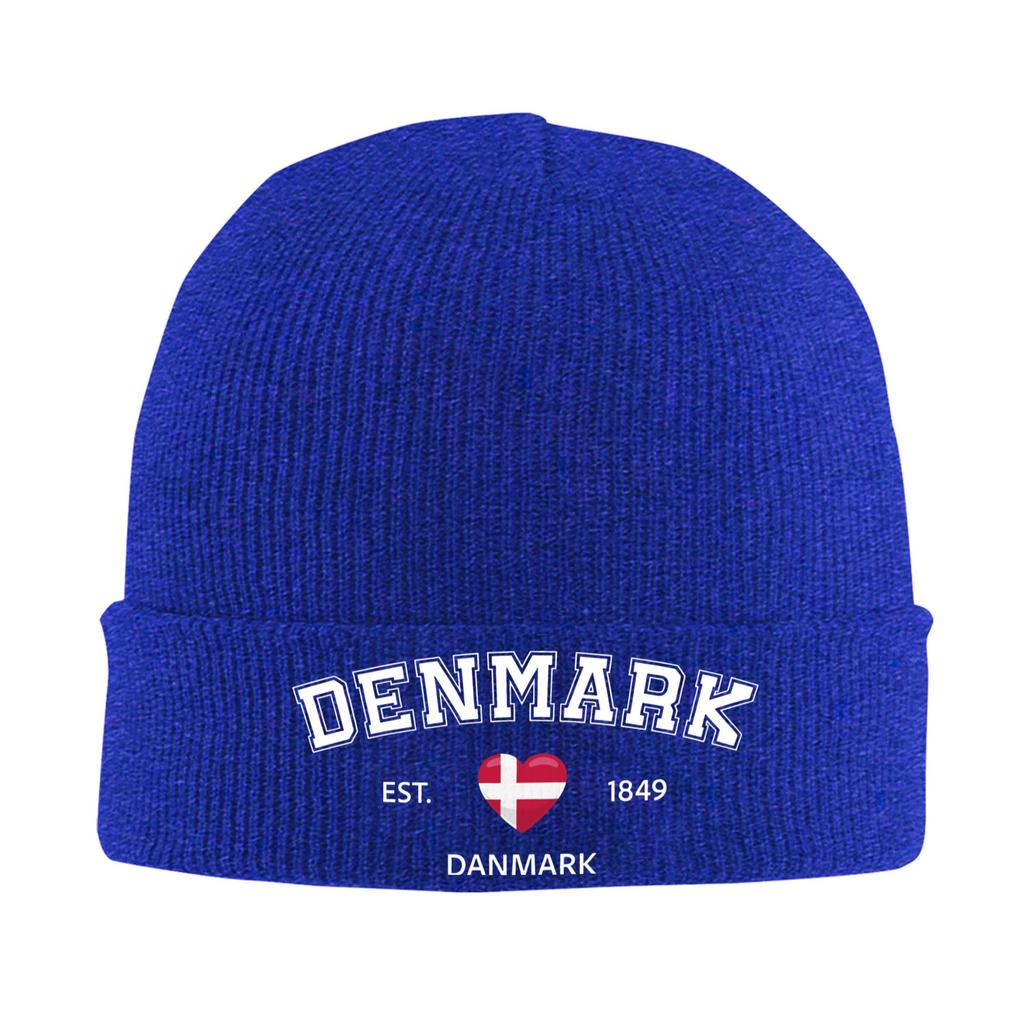 Denmark Est 1849 Knitted Hat Beanie Hats Outdoor Thermal Elastic Unisex Adult Bonnet Hats Autumn Winter Printed Hip Hop Caps