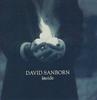 CD DAVID SANBORN  Inside 7559623462 Elektra 1999 Europe Jazz Used