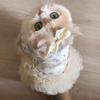 Breathable Dog Puffy Dress Summer Corgi Teddy Clothes Cute Pet Dress  for Small Dog Cat