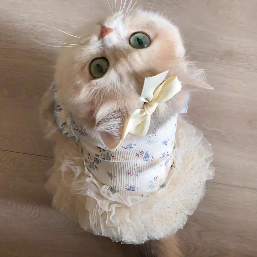Breathable Dog Puffy Dress Summer Corgi Teddy Clothes Cute Pet Dress  for Small Dog Cat