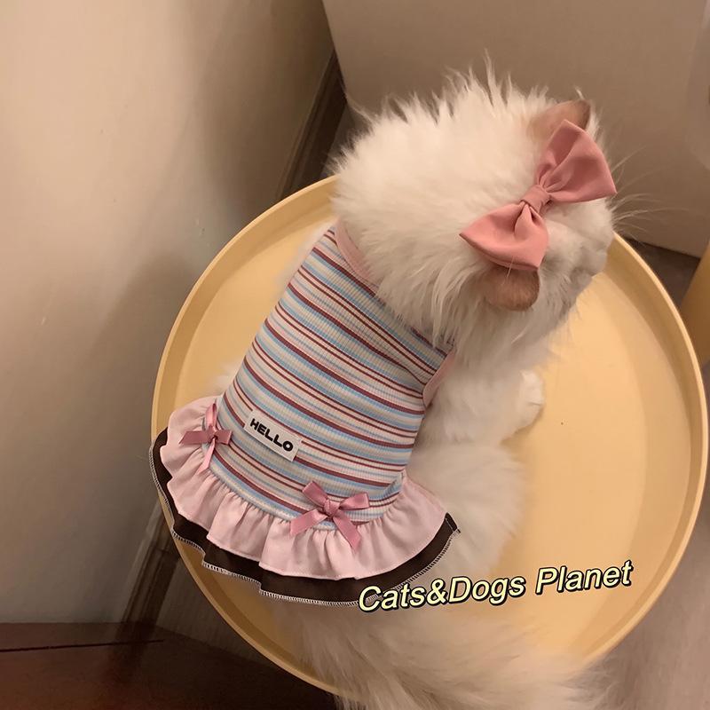 Dog clothes Autumn and winter rainbow striped dress Bigbear cat teddy Pomeranian small dog velvet pet vest