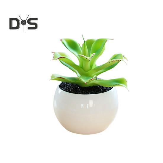 Plante succulente artificielle en plastique, Anti-décoloration, belle petite plante en pot, ornement de Table