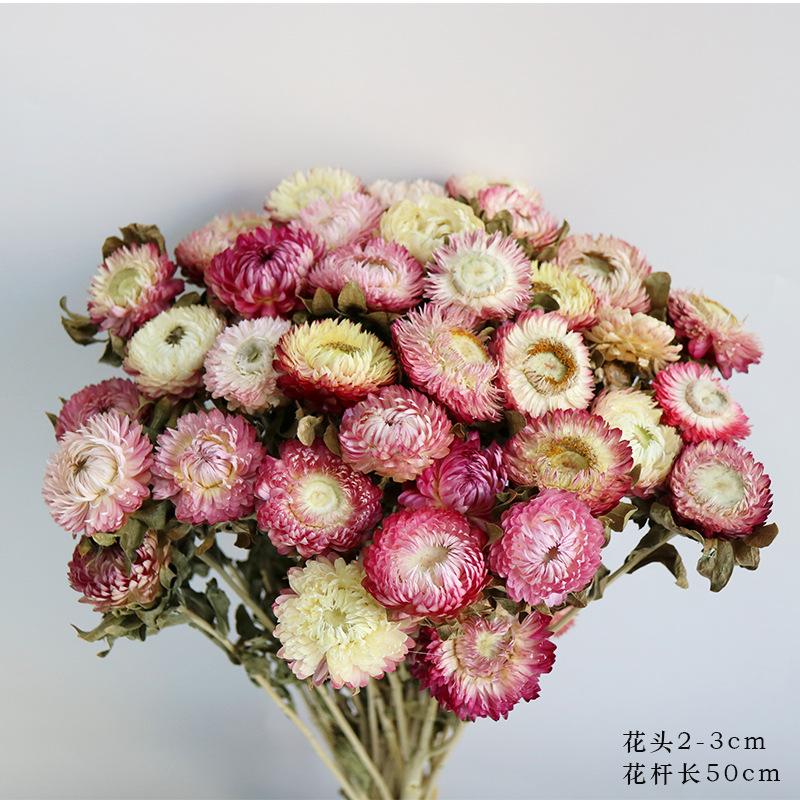Daisies dried flower bouquet decorative ornament shooting props natural real flower arrangement bedroom dried bouquet