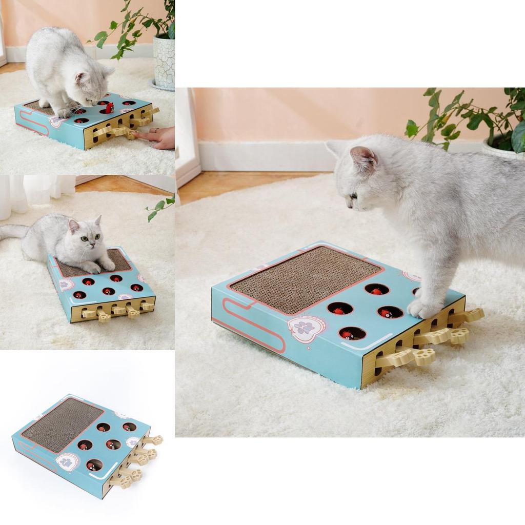 Whackamouse Katzenspielzeug aus Holz und Wellpappe, Multifunktionaler Katzen-Teaser für drinnen