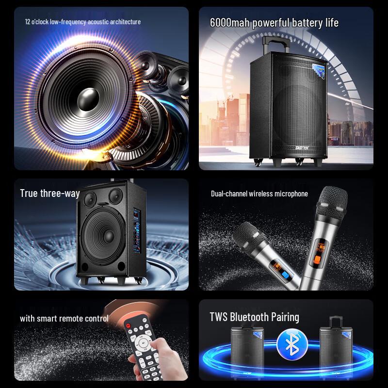 SAST High Power Outdoor Portable Bluetooth K-Song Speaker