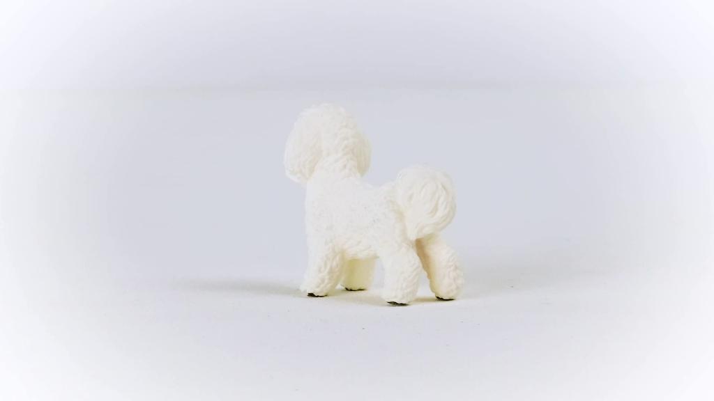 Schleich Farmworld Bichon Frize 13963