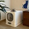 Enclosed Cat Litter Box with Pull Out Drawer Large Anti-Splash Odor Control Litter Tray Closed Kitty Litter Box for Indoor Use