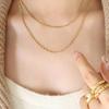 Double-layer Flat Snake Bone Cold Style Collarbone Chain, Trendy Neck Chain 18K Gold Plated Stainless Steel