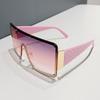 Fashion Large Frame Sunglasses for Women UV400 Protection Wide Rim Catwalk Street Style Ins