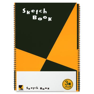 Maruman Design Desenho Regular 24 Conjunto de S120X3 Caderno de Esboços, B4, Série, Papel, Tamanho, Folhas, 3,