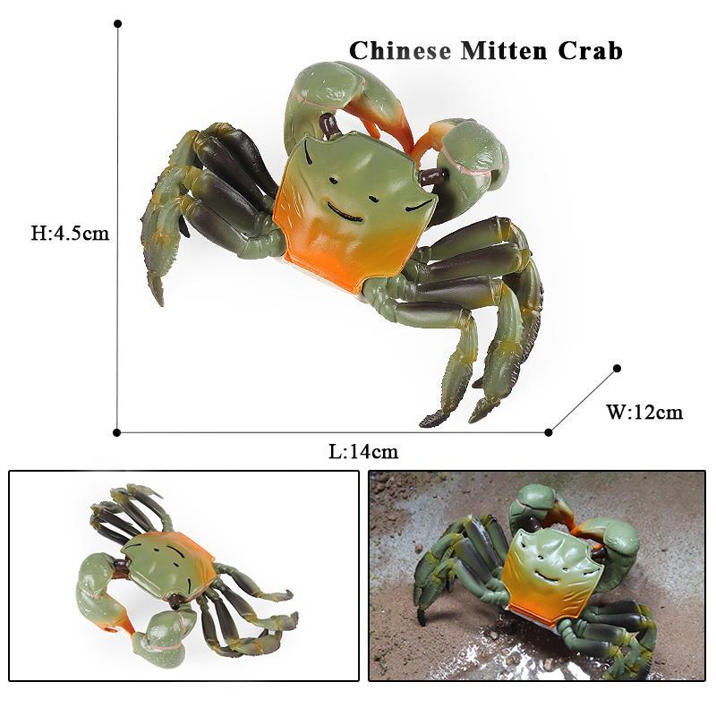 Oenux Simulation Ocean Sea Life Animals Model Lovely Crab Action Figures Toy Cake Toppers Collection Jouet Kids Education Gift