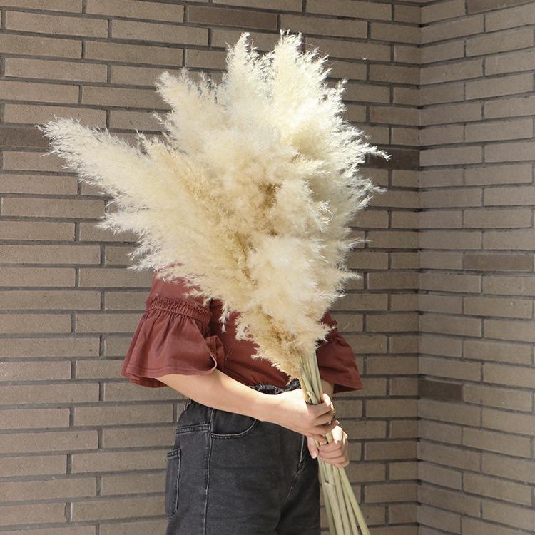 High-End Wabi-Sabi Dried Flower Decor: Natural Reeds & Wheat for Living Room or Homestay.