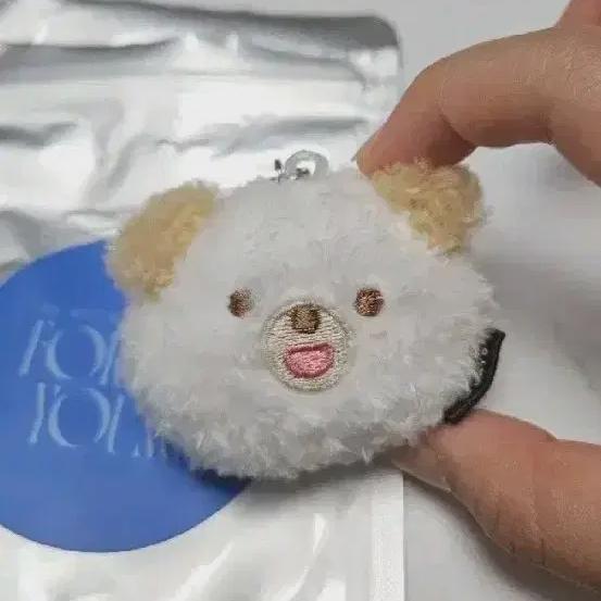 

Day6 Face Keeling Petite Don+tarot Confetti