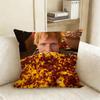 Ed SSheeran Albums Pillow Case Living Room Sofa Cushion Cover Suitable For Home Bedroom Room Decoration