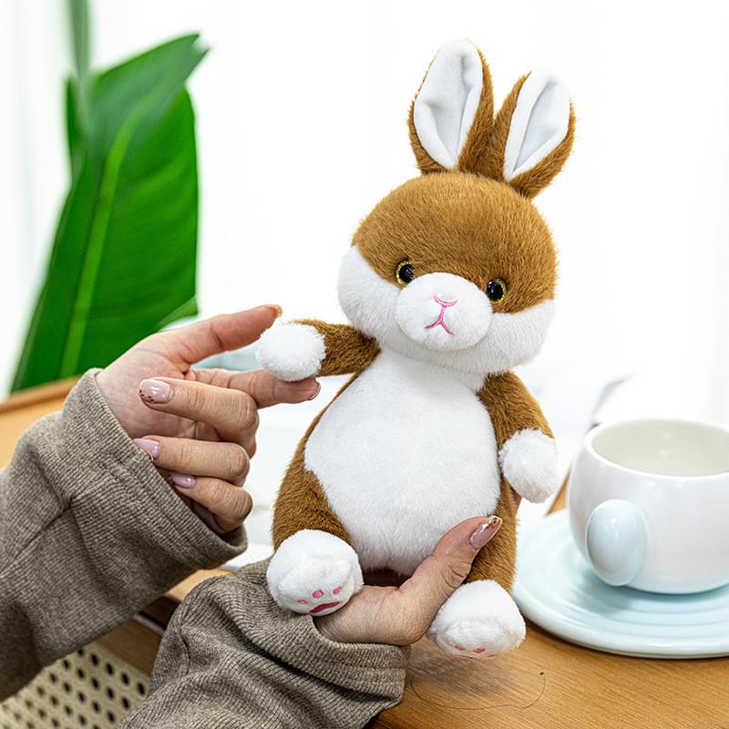 Pouch Soft Pocket Rabbit Plushie Pp Cotton Fill Children Plush Enthusiasts Toy