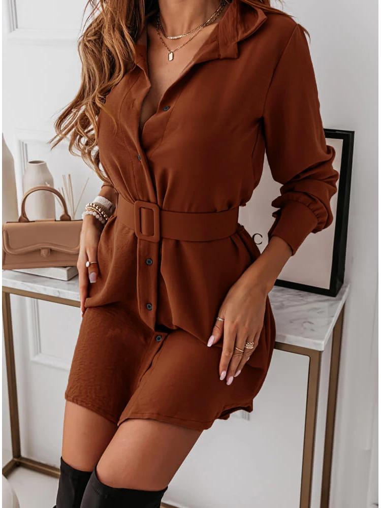 2022 Autumn/Winter Slimming Belted Long Sleeve Collared Dress