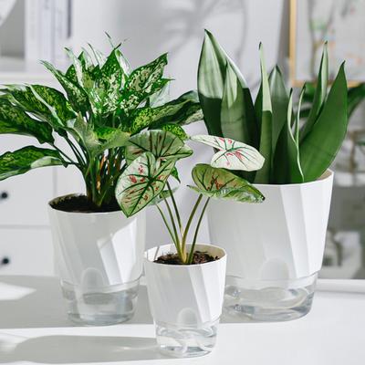Yousheng 3Pcs Self Watering Pot with Drainage Hole Clear Reservoir Indoor Outdoor Plants Planting Pot with Saucer Herbs Flower Planter with Wick