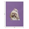 Cute Shih Tzu Throw Blanket Quilt Soft Beds Moving Luxury Designer Blankets