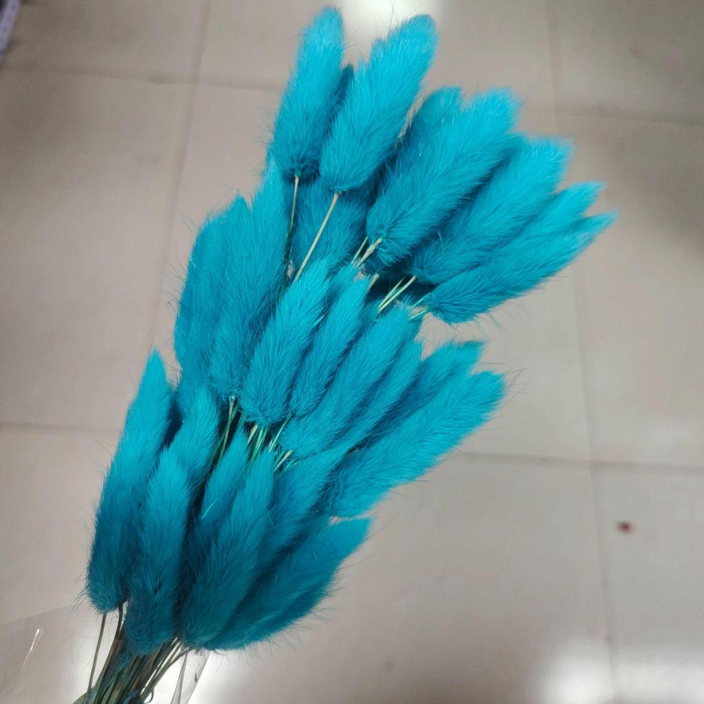 Yunnan Dried Flowers Bouquet - Rabbit Tail Grass