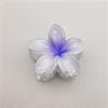 2 Pcs Flower Hair Clips Strong Claw Gradient Contrast Color Plumeria Anti-slip Hair Fixation Decoration Smooth Surface Women Hair Accessory